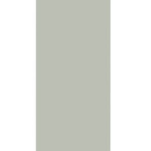 A long, rectangular, light green vertical panel against a white background.