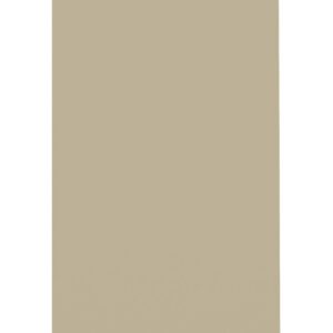 A plain, vertical beige rectangle on a white background.