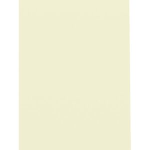 A tall, thin rectangular beige object with a slightly angled top against a plain white background.