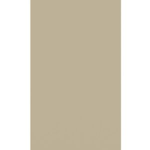 A tall, narrow, rectangular beige object stands on a white background. It appears flat and solid, resembling a minimalist design or panel with a slightly lighter edge visible along the top.
