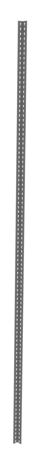 A narrow, vertical gray strip with rows of small, white circular holes running along both edges. The strip is slightly curved and set against a plain white background.