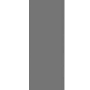 A tall, rectangular, gray prism against a white background. The prism is oriented vertically with a slight shadow on one side, suggesting a 3D appearance.