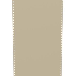 A vertical beige sheet of paper with evenly spaced holes along both long edges, resembling old-style printer paper.
