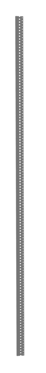 A vertical, thin, gray strip with evenly spaced notches along both sides against a white background.