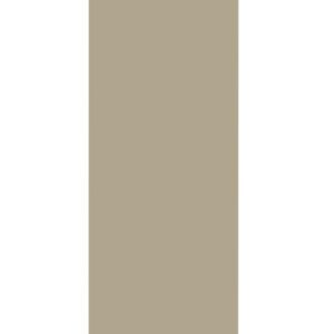 A tall, rectangular slab with a smooth, plain surface. The color is a muted, earthy beige, and the slab is vertically oriented against a white background.