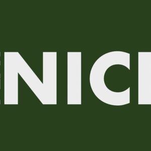 The image features PLAY NICE in bold, light-colored capitals on a dark green background similar to a Justrite Mat. PLAY is intriguingly vertical on the left, echoing the 195 Play Nice 4X6 Gn style.