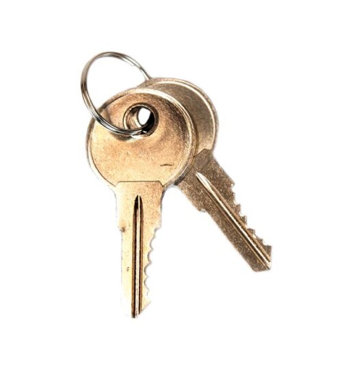 The Justrite Key Set/2, Ch545 Suregp Handle includes two metallic keys on a sleek silver keyring against a crisp white backdrop.