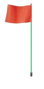 A Whip,Ld energy flag, slightly wavy as if wind-blown, is attached to a green pole with a small gray base. The image is isolated on a white background.