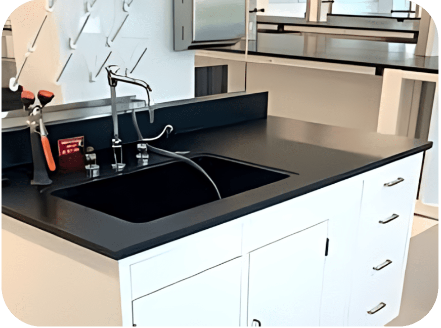 an image for Laboratory Sinks