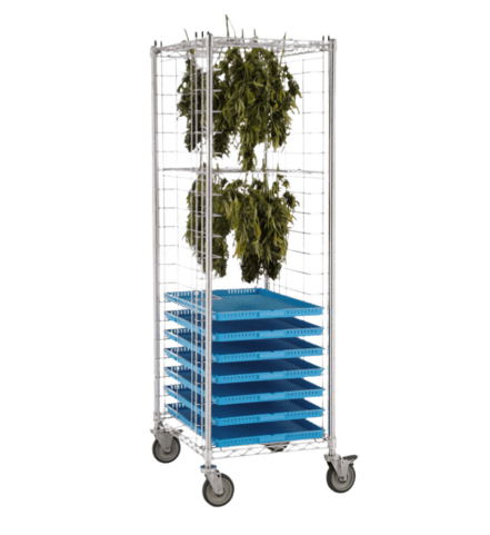 an image for Cloning and Propagation