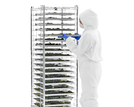 an image for Trimming and Packaging