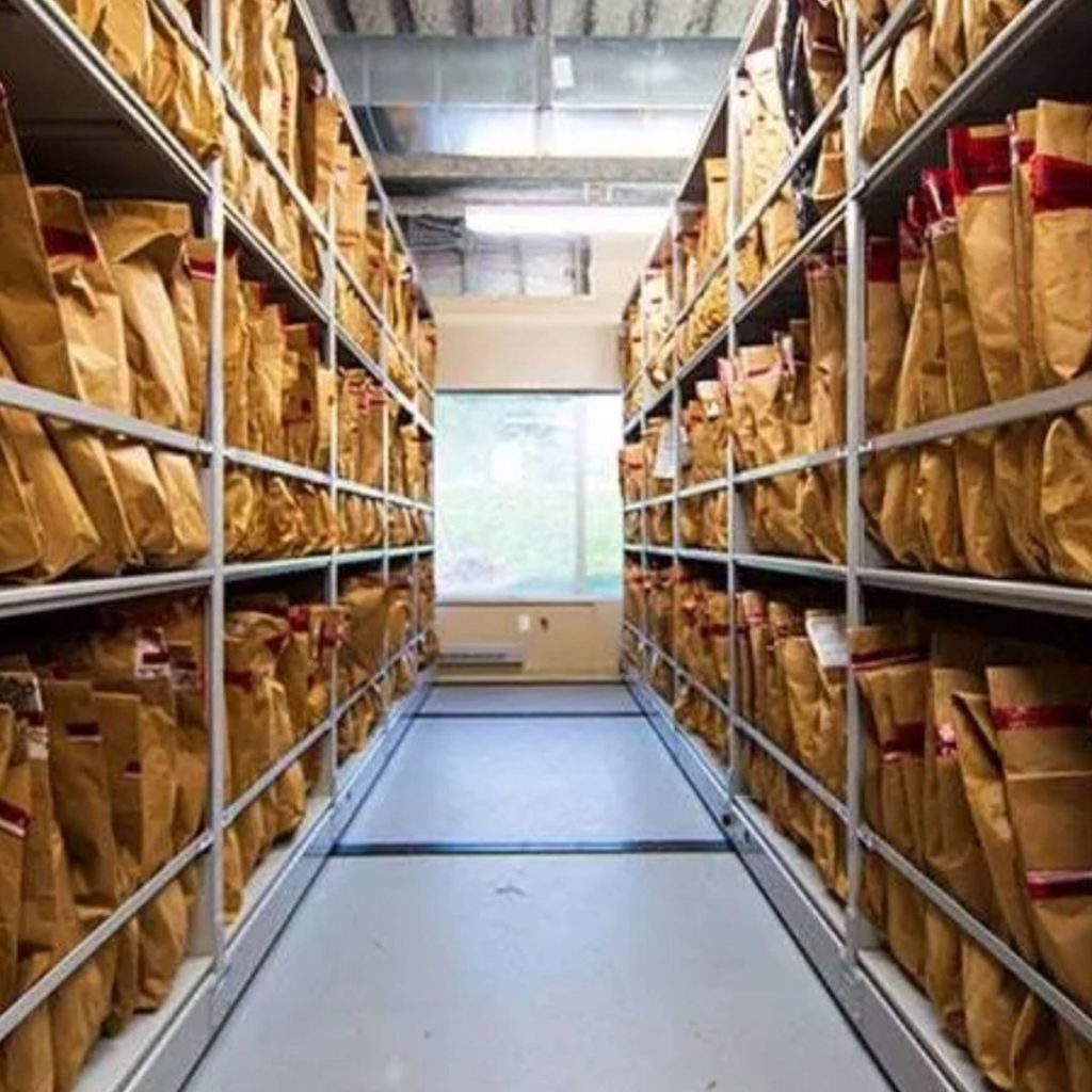 A storage room with rows of metal shelves filled with brown paper bags—like evidence in a law enforcement department. The shelves extend down a long corridor leading to a window at the end, through which light is visible.
