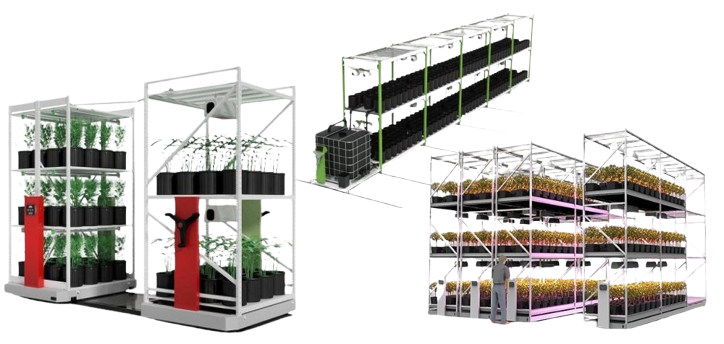 Three modular hydroponic systems with dense, healthy plants. The left system showcases vertical trays with a red panel, ideal for cannabis vertical grow racks. The center system is long and narrow, while the right features illuminated tiers with yellow and green foliage.