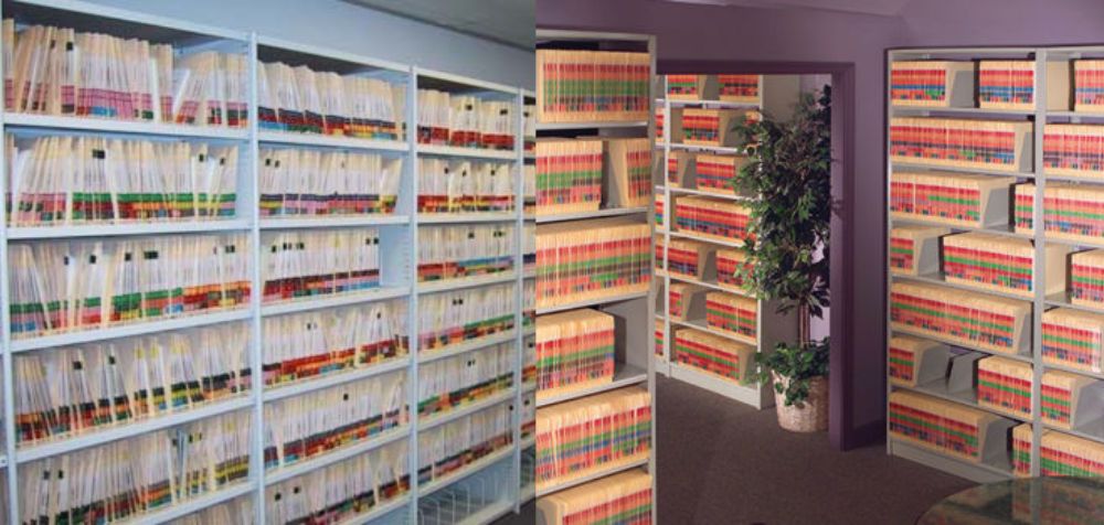 Shelves filled with organized files, some with multicolored tabs, stand on heavy-duty shelving units in a room with a plant on the floor. The space appears to be an office or record storage area, with light-colored walls and carpeted flooring.