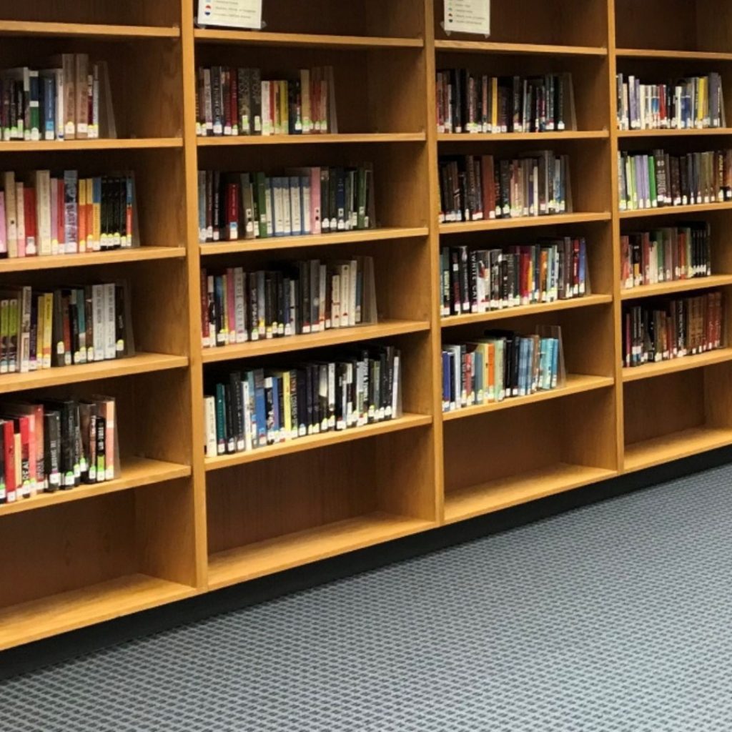 Wooden bookshelves filled with assorted books stand proudly against a wall, over a blue carpeted floor. Each shelf, akin to an educational haven, is neatly arranged and showcases a variety of colorful book spines.