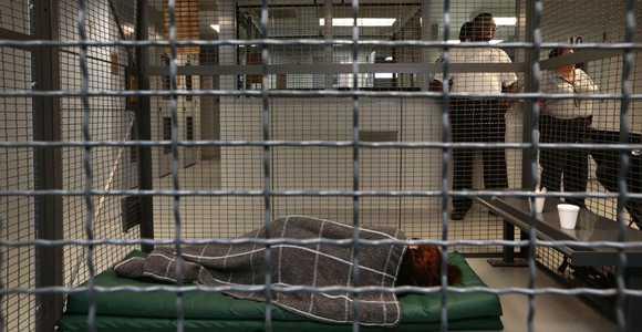 Detailed Comparison: Chain Link vs Wire Mesh