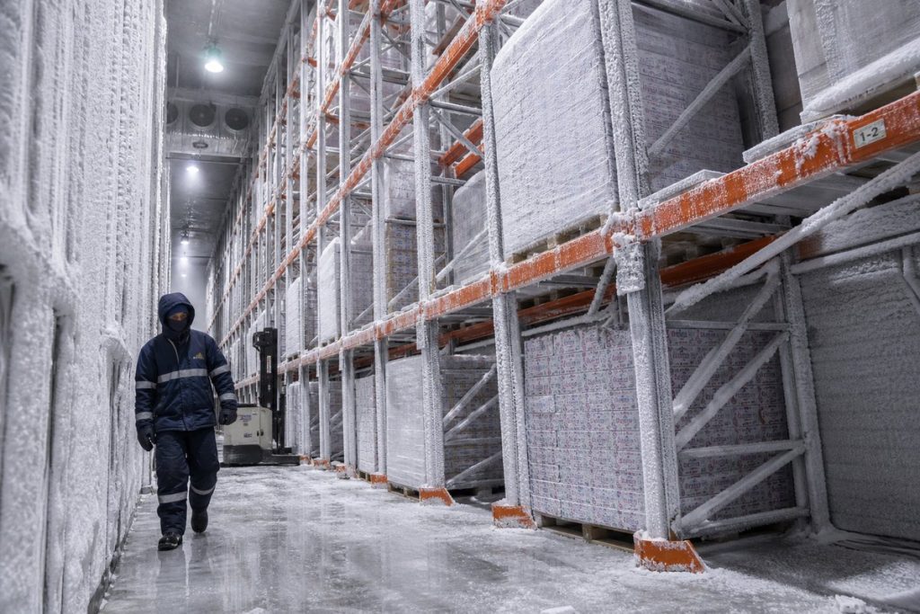 Structural pallet rack working in a cold storage freezer warehouse
