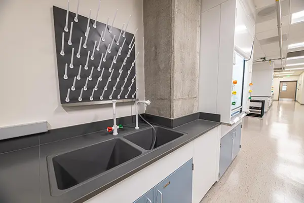 Laboratory sink and work surface for sample preparation and wet work