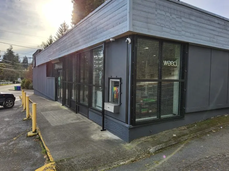 BeastWire welded mesh window guards installed over storefront windows of a retail store